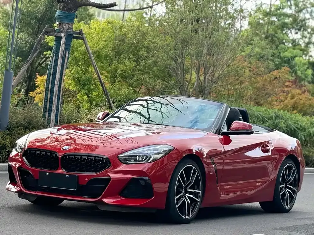 BMW Z4 — фото 1