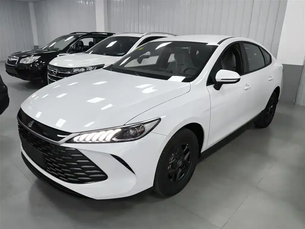 BYD Qin PLUS 2025 из CN, фото 1