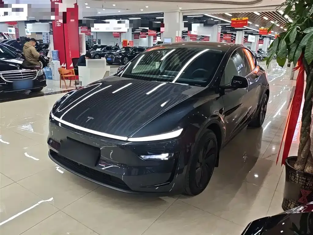 Tesla Model Y 2025 из CN, фото 1