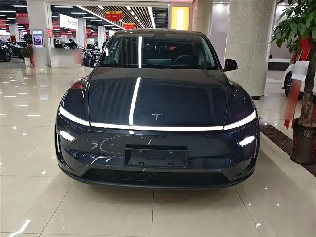 Tesla Model Y 2025 из CN, фото 8
