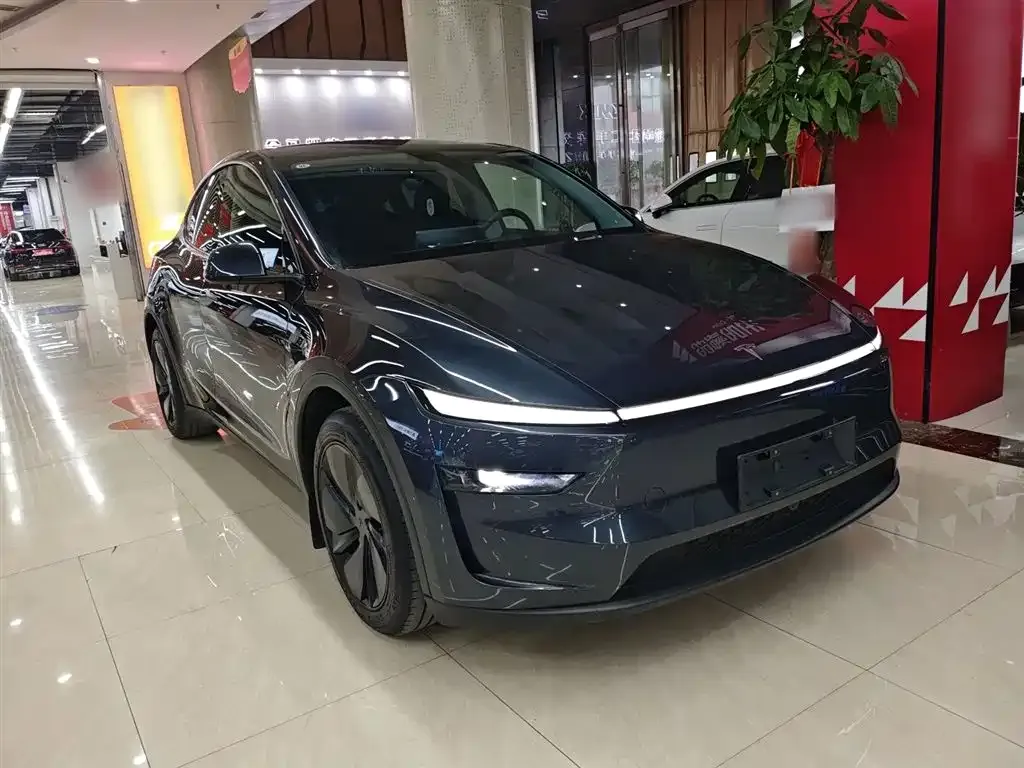 Tesla Model Y 2025 из CN, фото 4