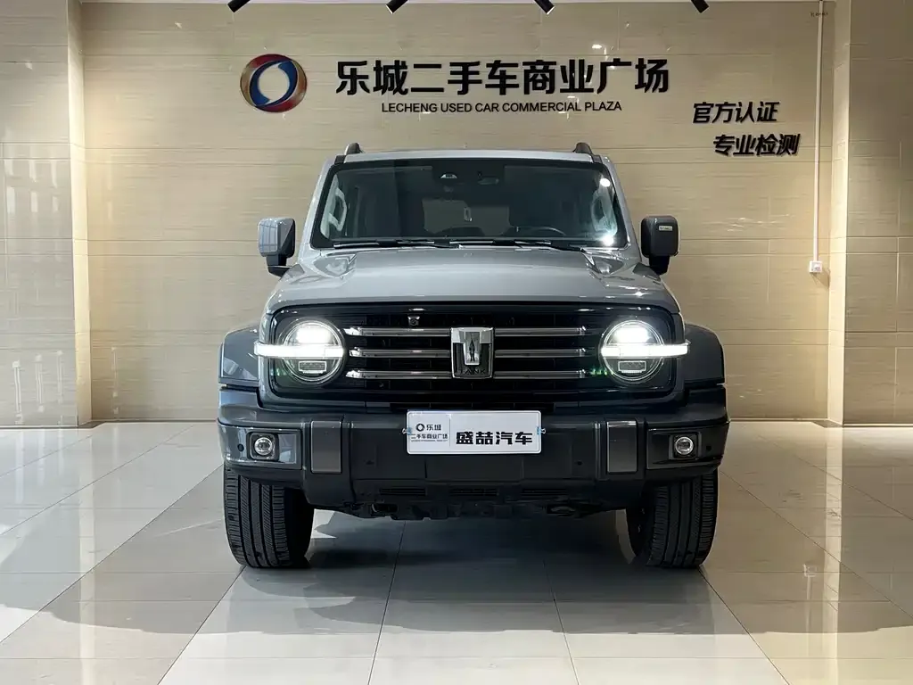 Tank 300 2023 из CN, фото 4