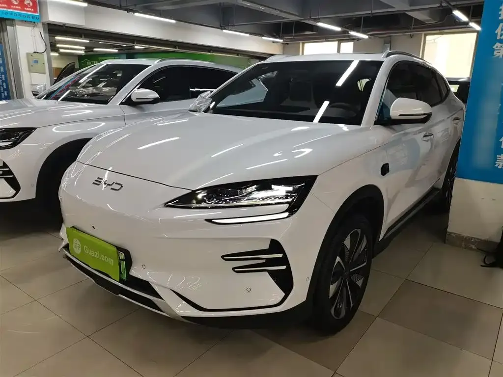 BYD PLUS New Energy — фото 3