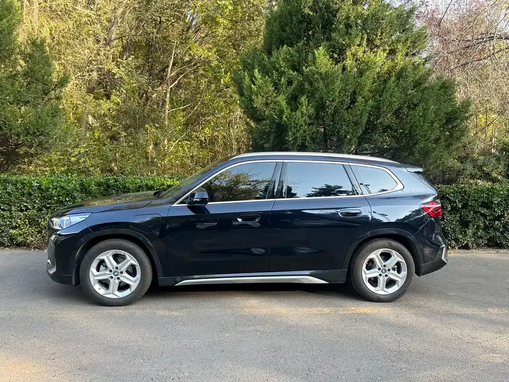 [object Object] iX1 2025 из CN, фото 3