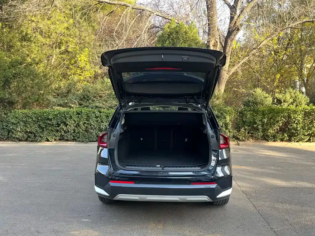 [object Object] iX1 2025 из CN, фото 6