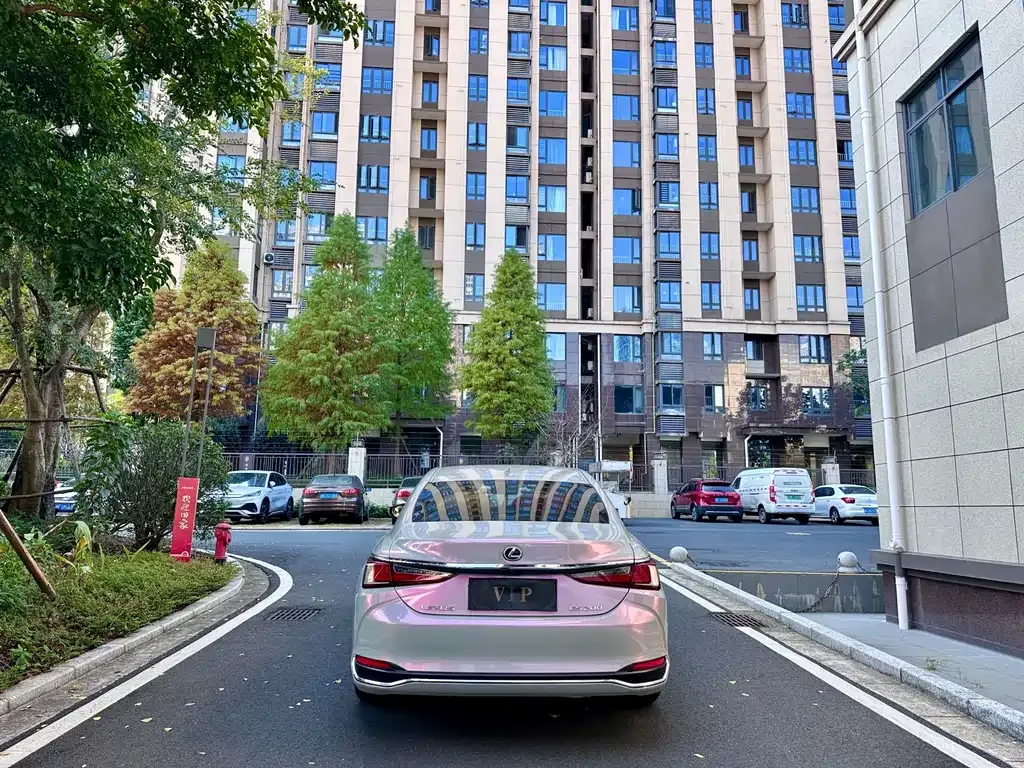Lexus ES 2023 из CN, фото 4