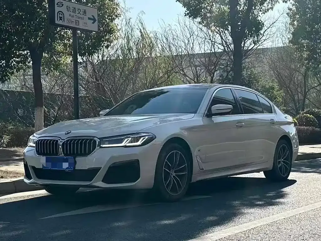 BMW 5 Series 2021 из CN, фото 1