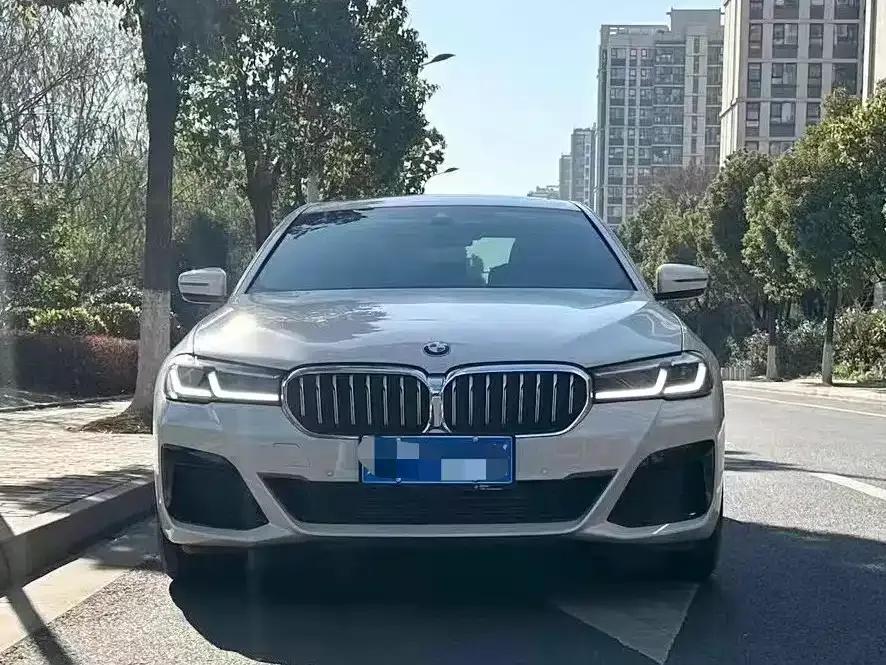 BMW 5 Series 2021 из CN, фото 7