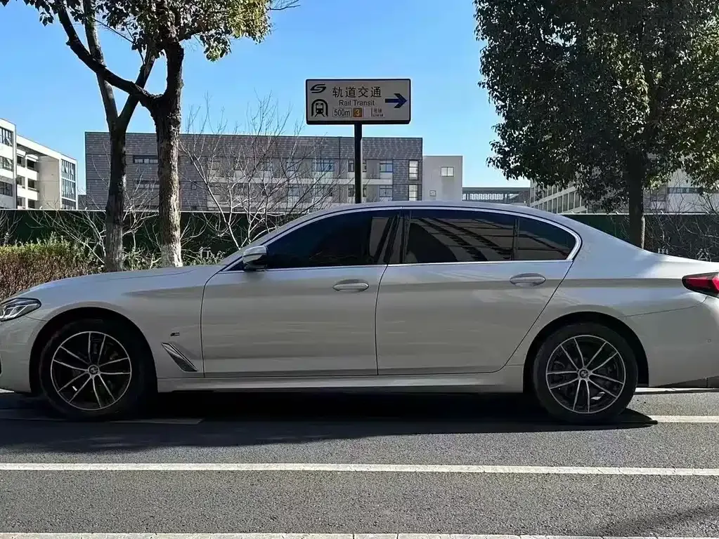 BMW 5 Series 2021 из CN, фото 8