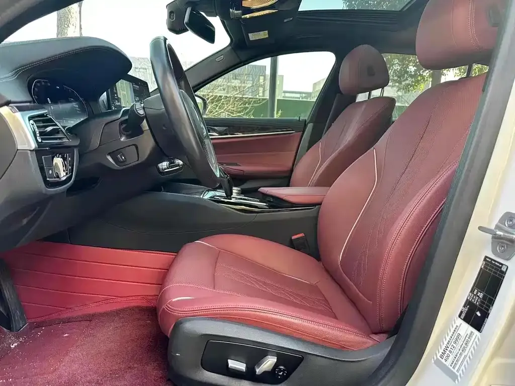 BMW 5 Series 2021 из CN, фото 6