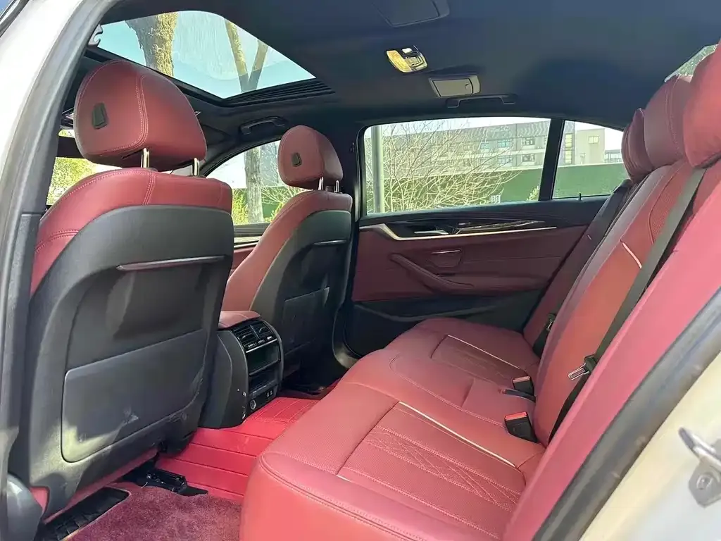 BMW 5 Series 2021 из CN, фото 3