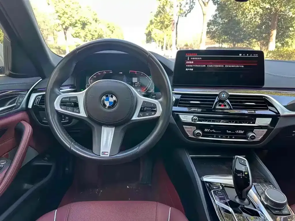 BMW 5 Series 2021 из CN, фото 2