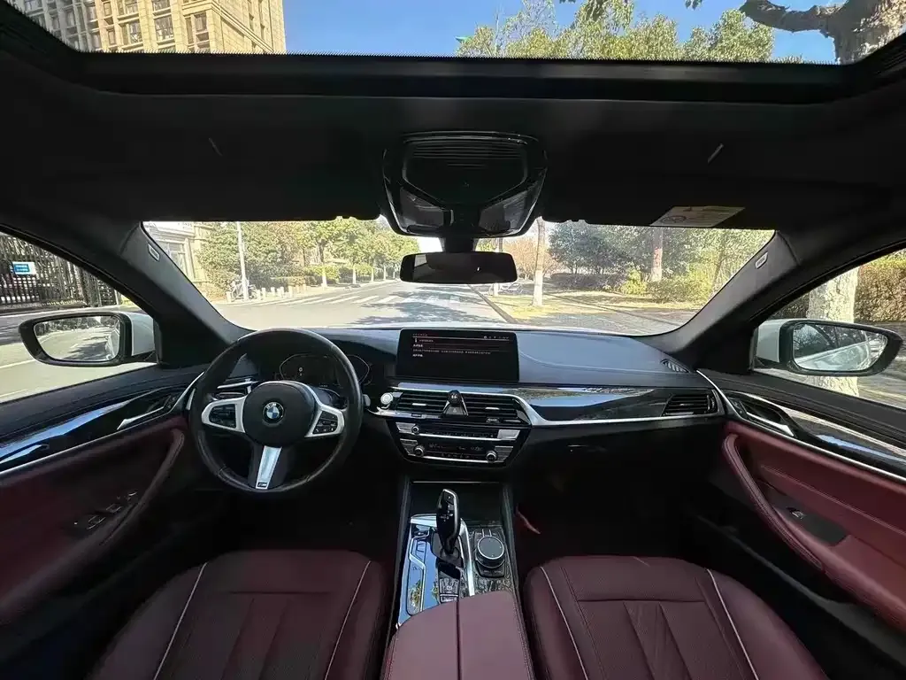 BMW 5 Series 2021 из CN, фото 4