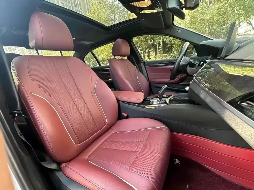 BMW 5 Series 2021 из CN, фото 5