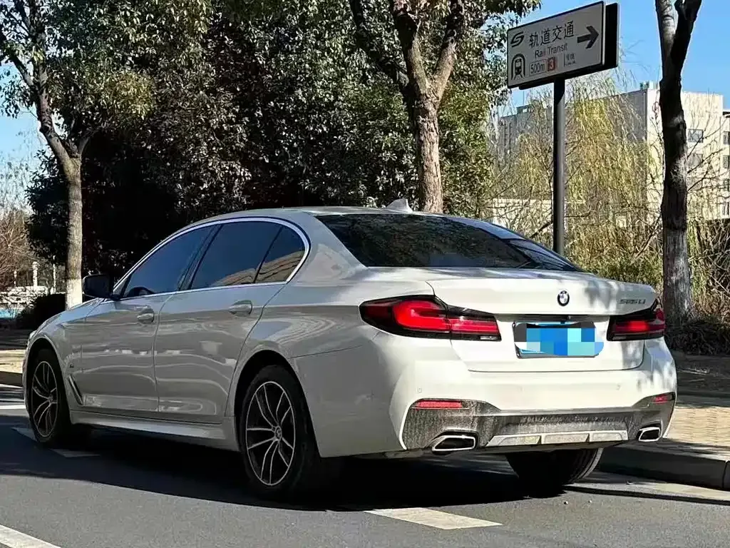 BMW 5 Series 2021 из CN, фото 9