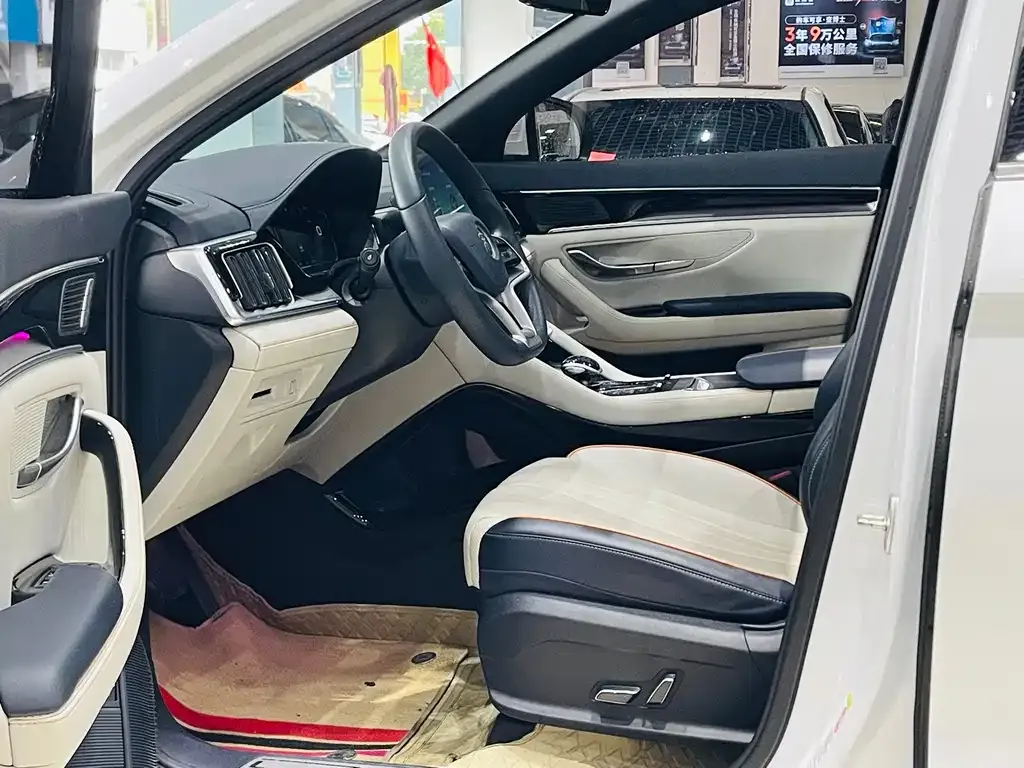 BYD PLUS New Energy 2024 из CN, фото 10
