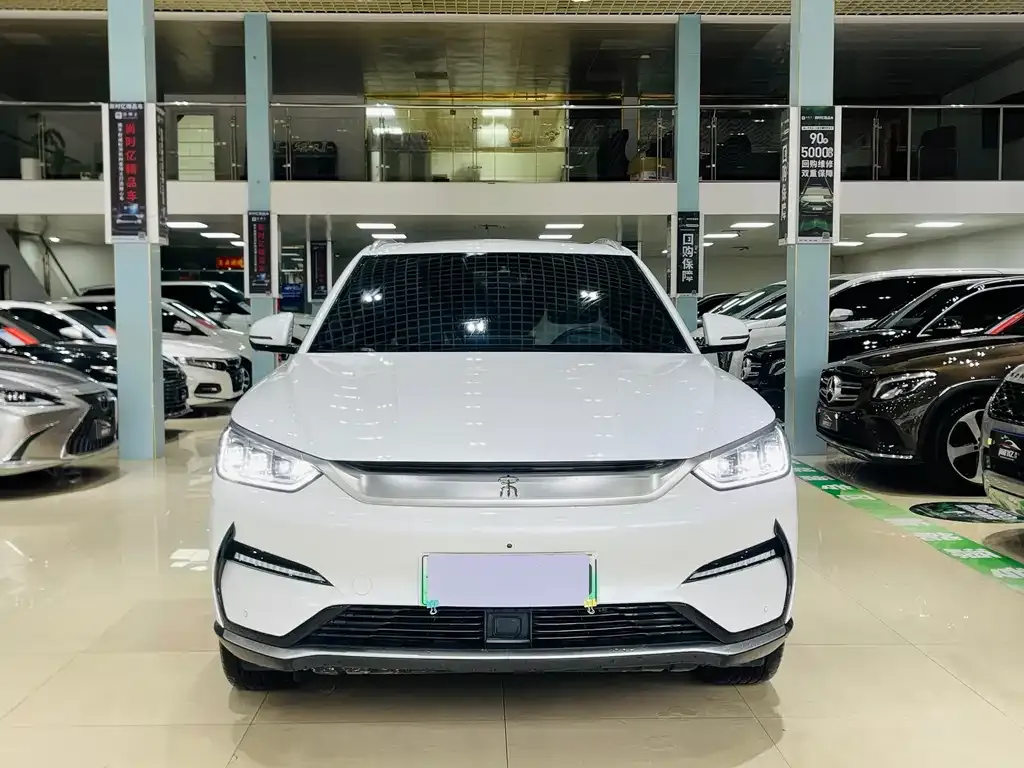 BYD PLUS New Energy 2024 из CN, фото 2