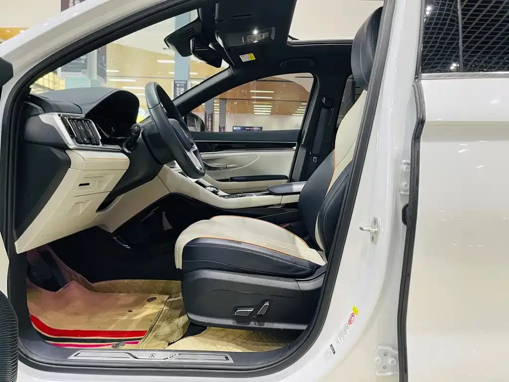 BYD PLUS New Energy 2024 из CN, фото 9