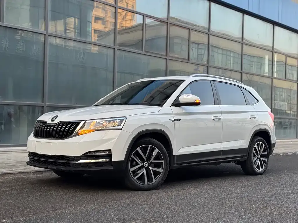 Skoda Kamiq 2022 из CN, фото 1