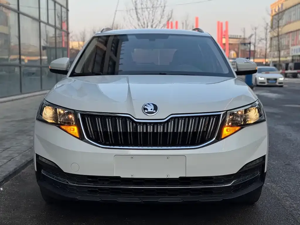 Skoda Kamiq 2022 из CN, фото 3