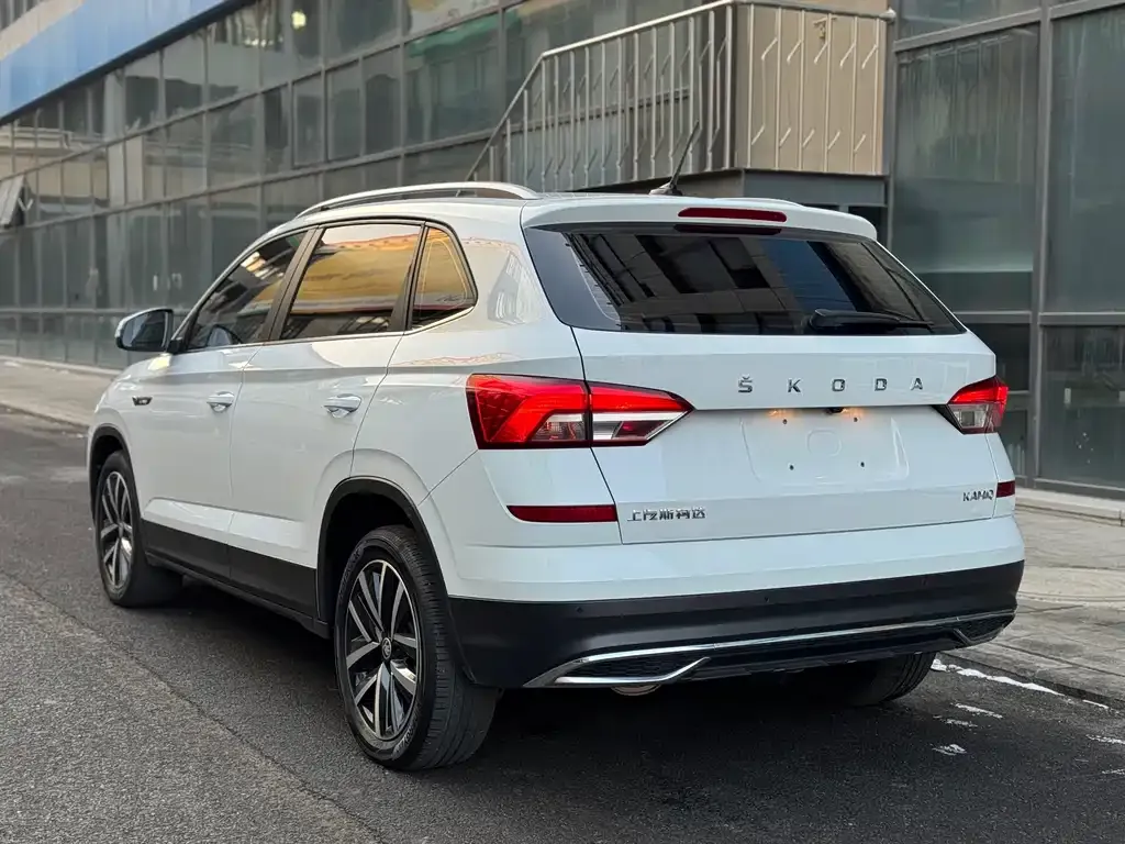 Skoda Kamiq 2022 из CN, фото 6