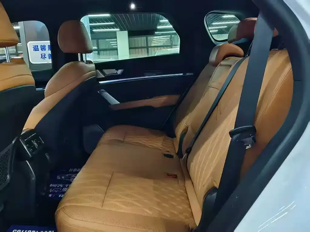 BYD Tang New Energy 2023 из CN, фото 2