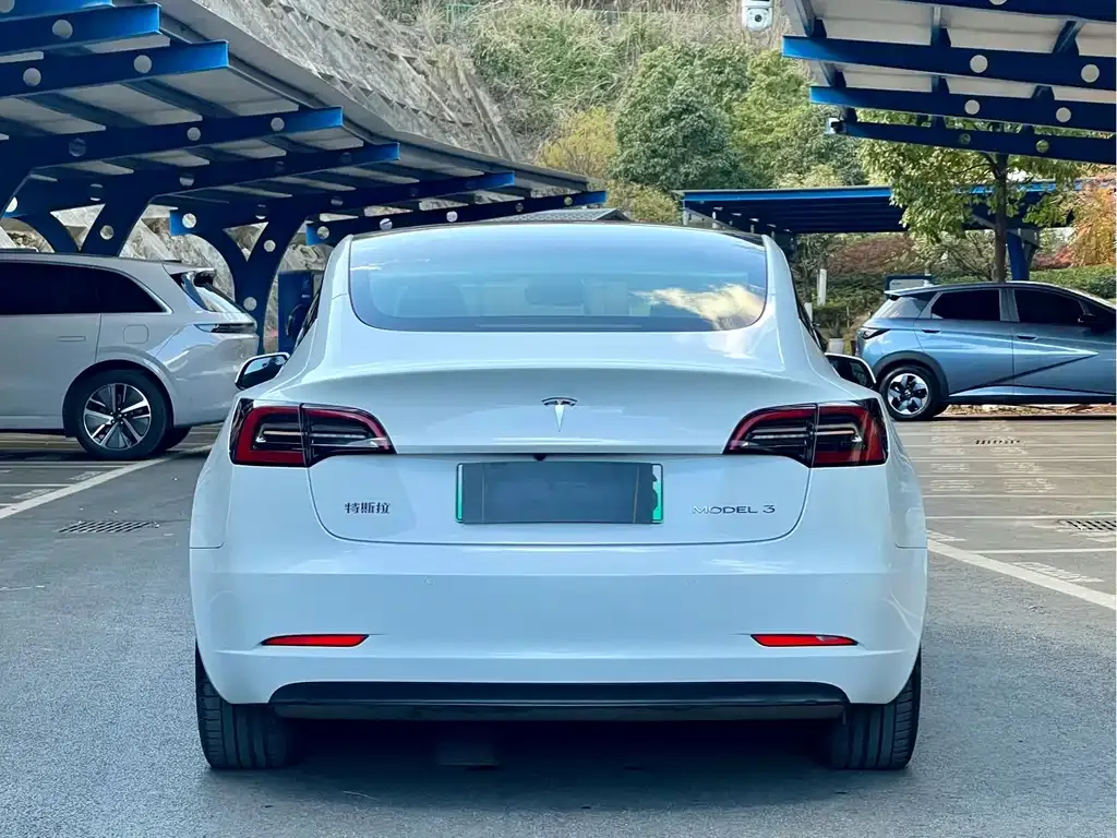 Tesla Model 3 2023 из CN, фото 2