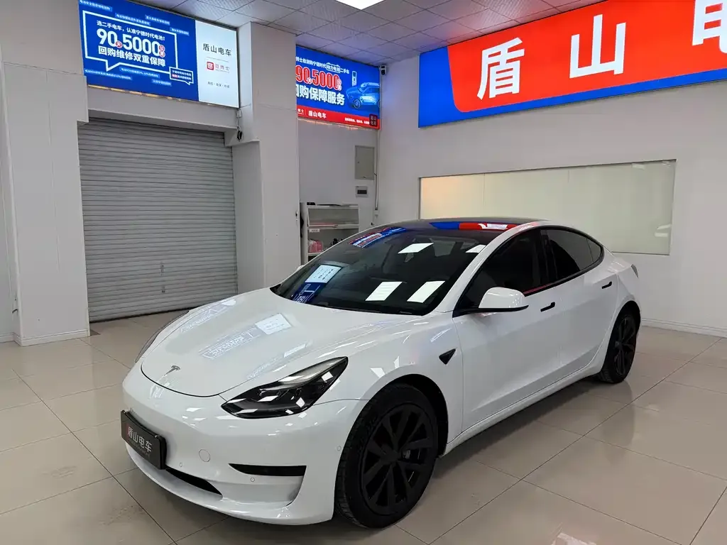 Tesla Model 3 2021 из CN, фото 1
