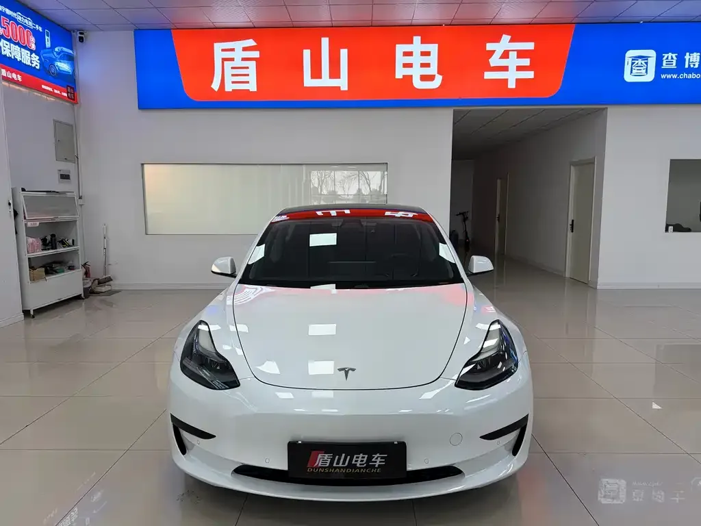 Tesla Model 3 2021 из CN, фото 2