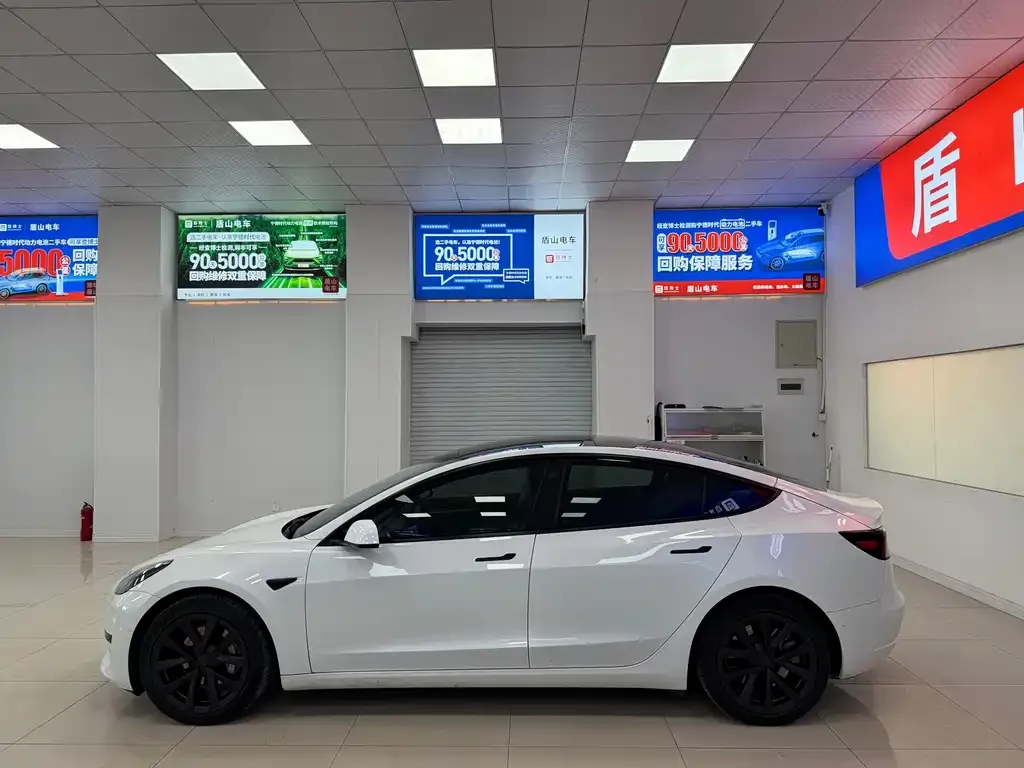 Tesla Model 3 2021 из CN, фото 3