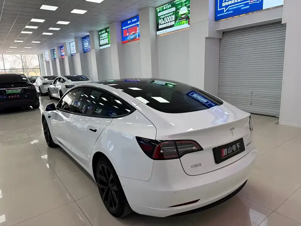 Tesla Model 3 2021 из CN, фото 6