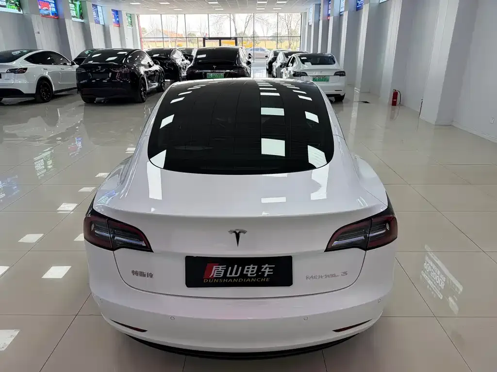 Tesla Model 3 2021 из CN, фото 4