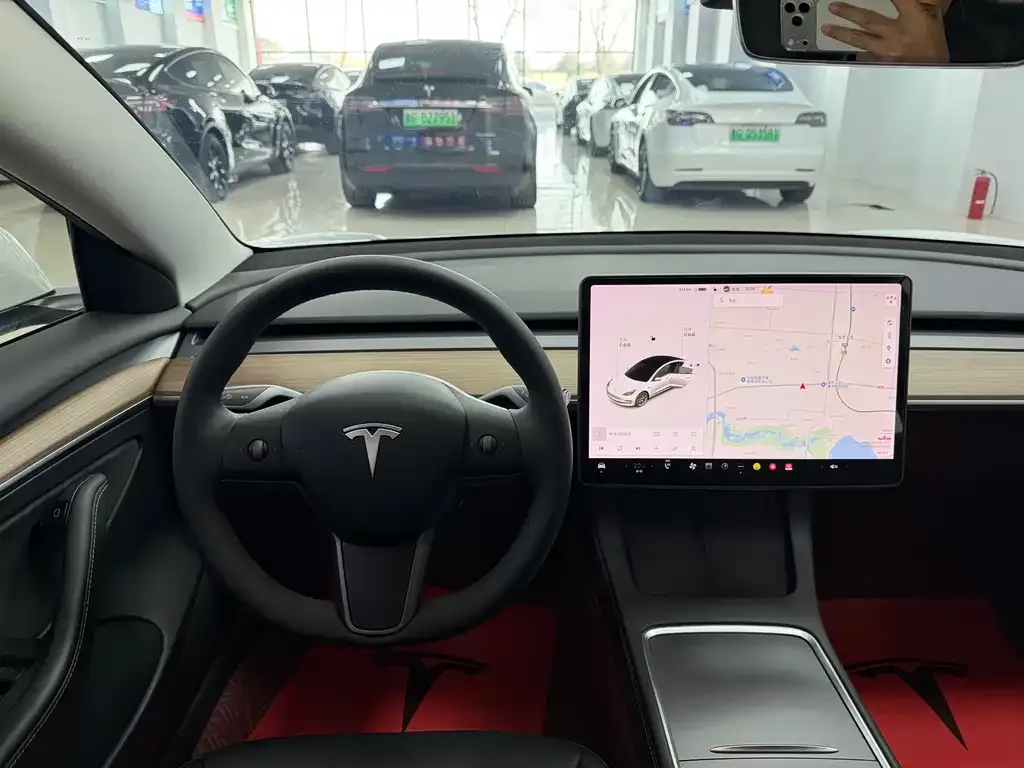 Tesla Model 3 2021 из CN, фото 7