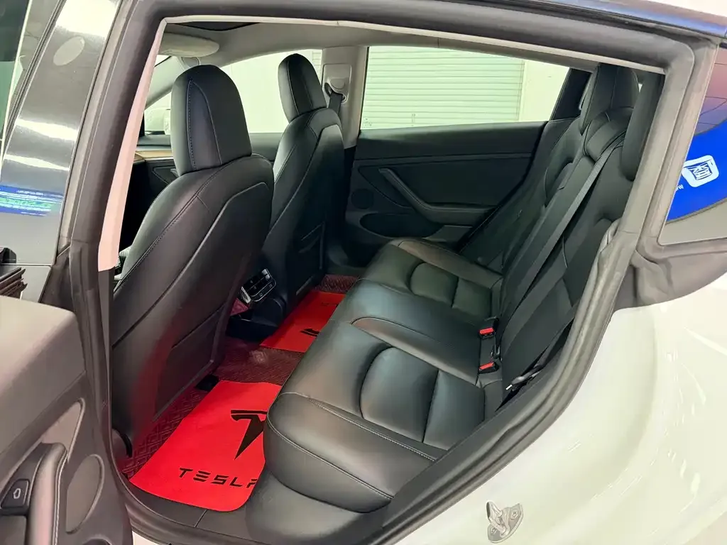 Tesla Model 3 2021 из CN, фото 5