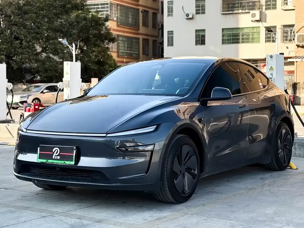 Tesla Model Y — фото 1