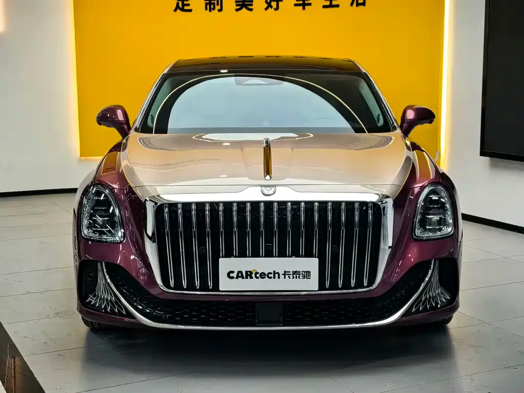 Hongqi Golden Sunflower Guoya 2024 из CN, фото 7