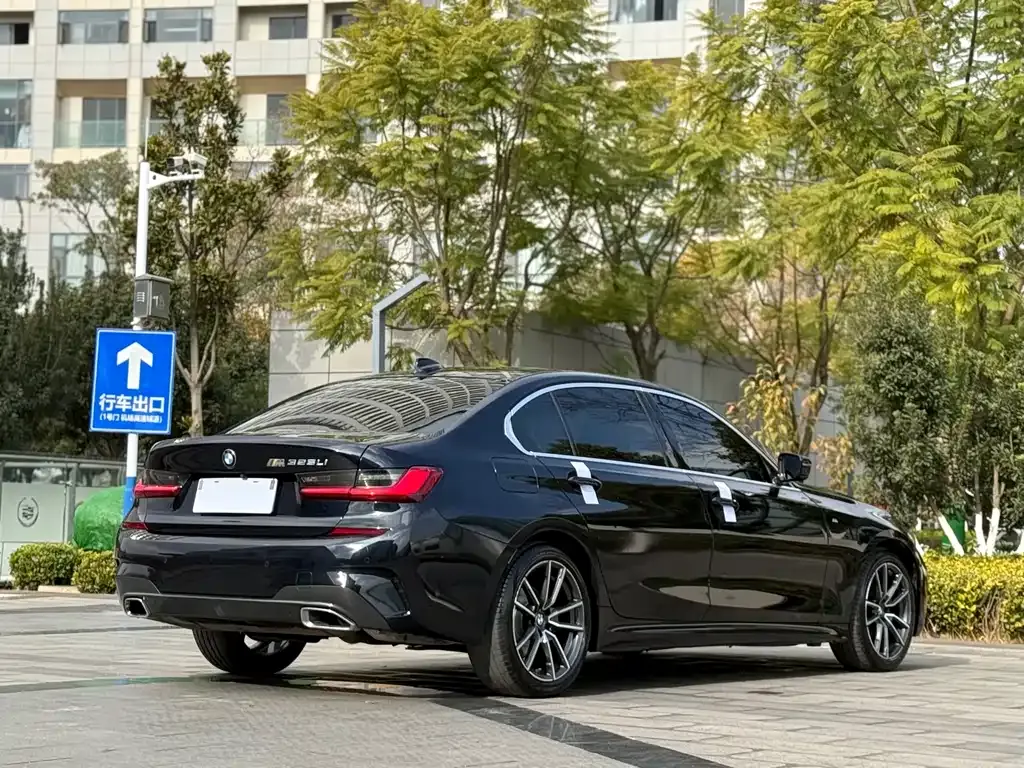 [object Object] 3 Series 2021 из CN, фото 7