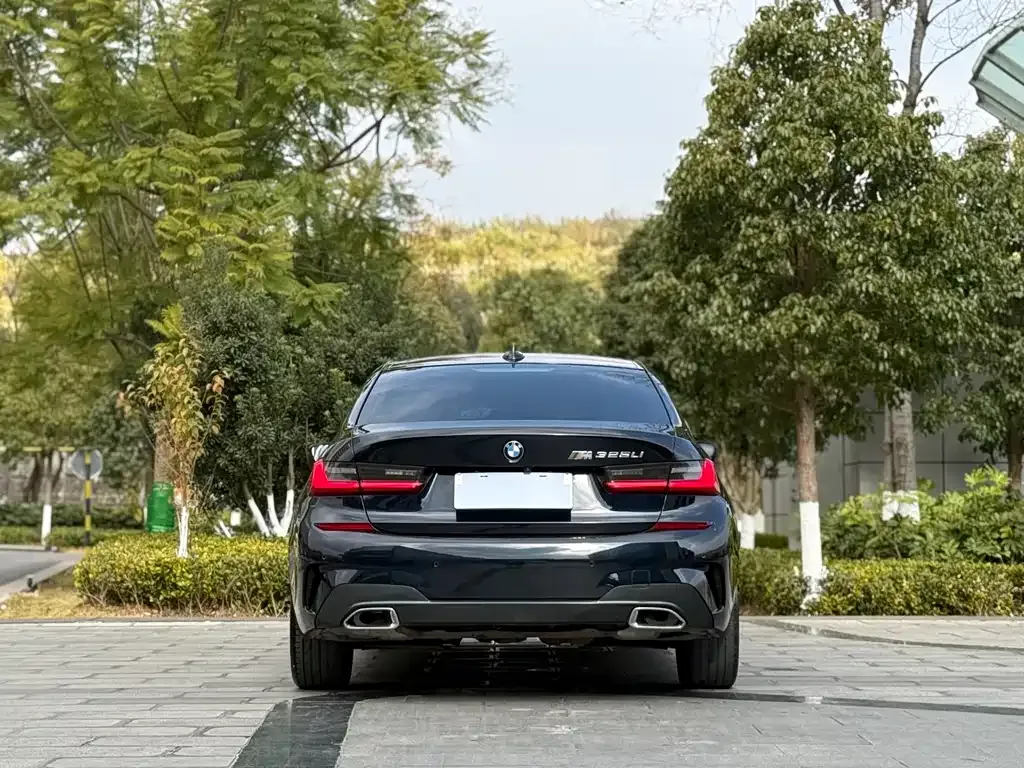 [object Object] 3 Series 2021 из CN, фото 8