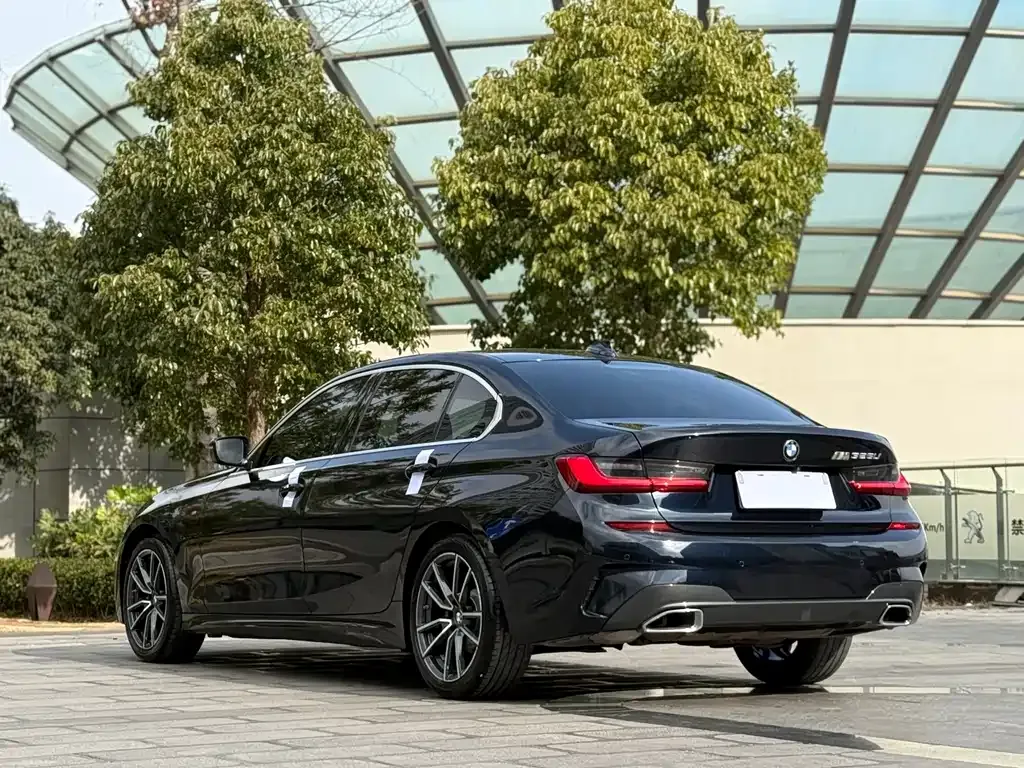 [object Object] 3 Series 2021 из CN, фото 9