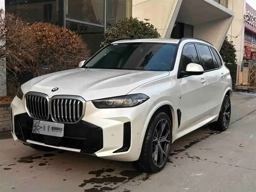 BMW X5 2023 из CN, фото 1