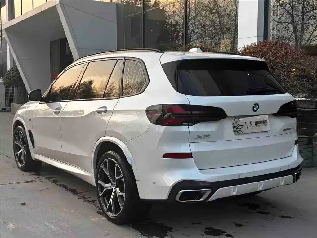 BMW X5 2023 из CN, фото 3