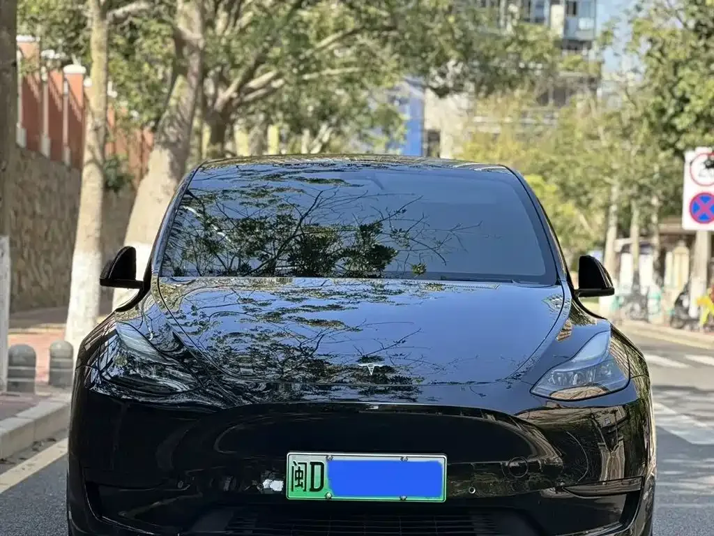 Tesla Model Y 2023 из CN, фото 2