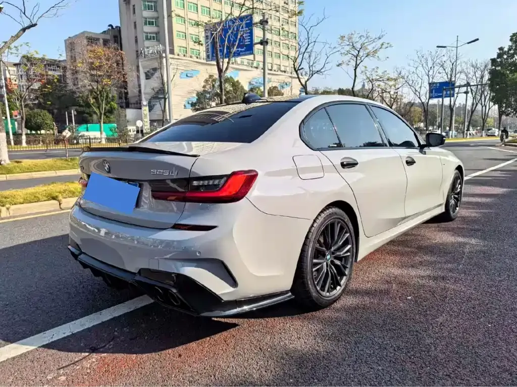 BMW 3 Series 2021 из CN, фото 9