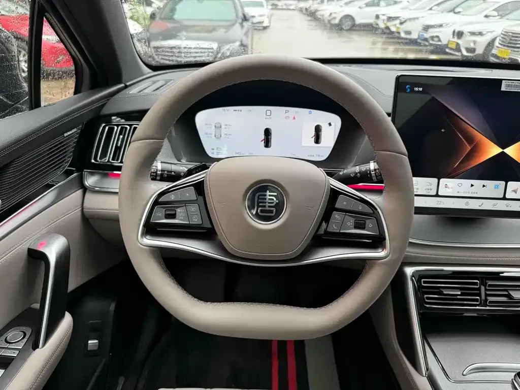 BYD Tang New Energy 2025 из CN, фото 10
