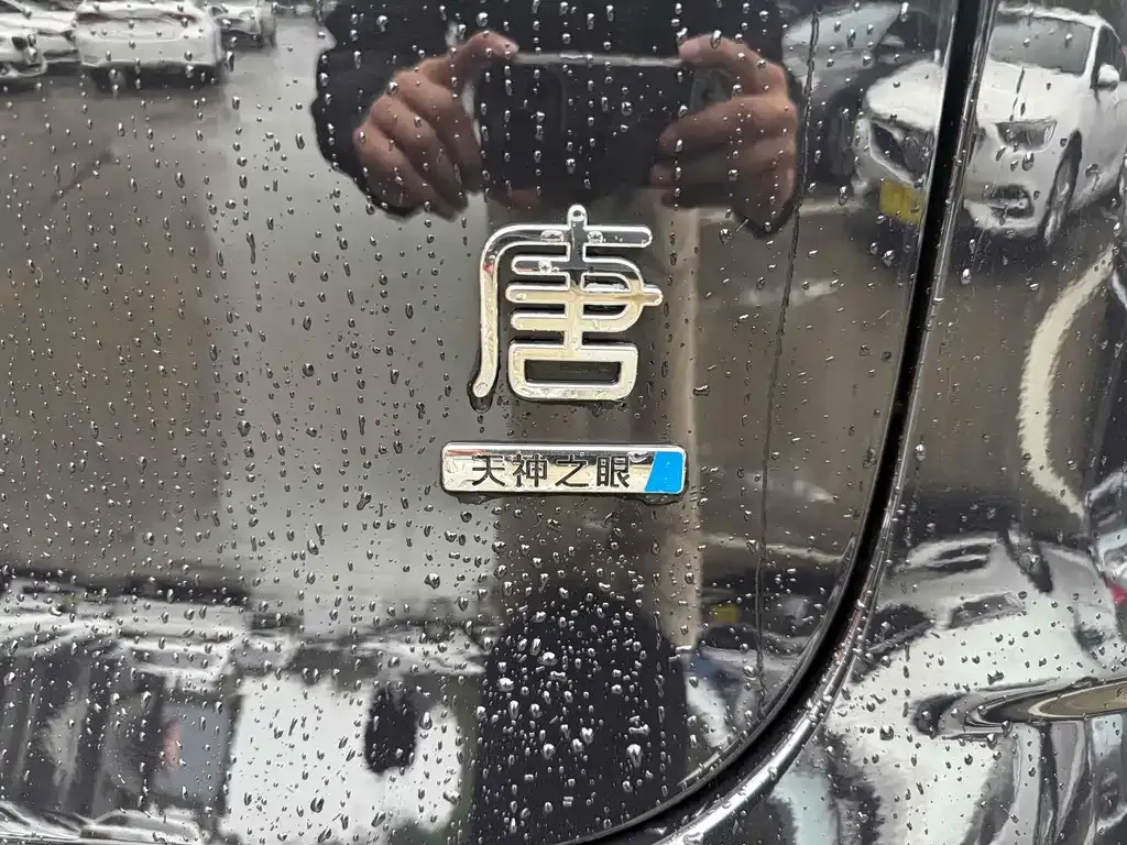 BYD Tang New Energy 2025 из CN, фото 5