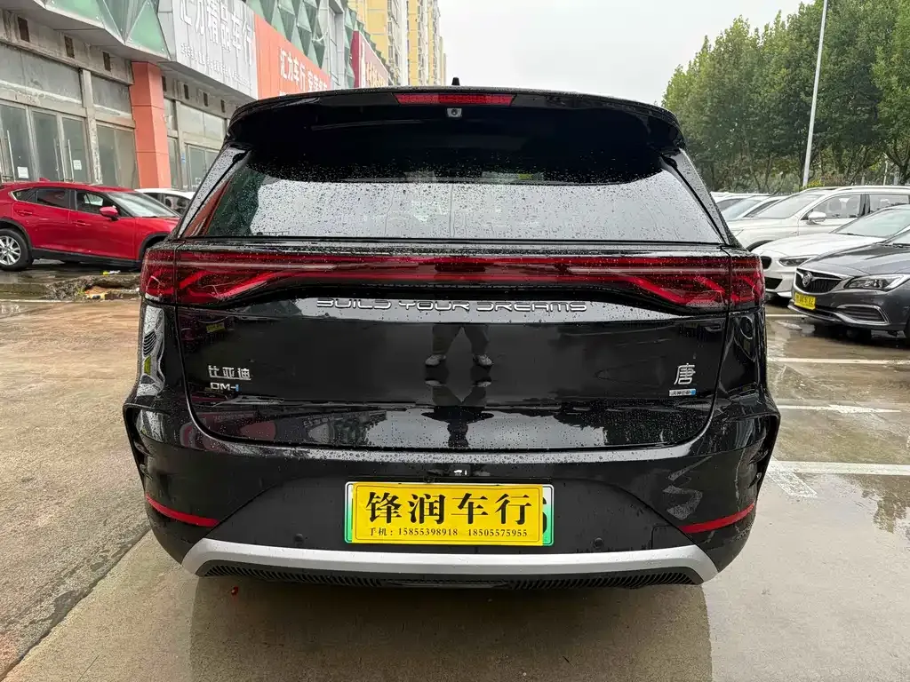 BYD Tang New Energy 2025 из CN, фото 6
