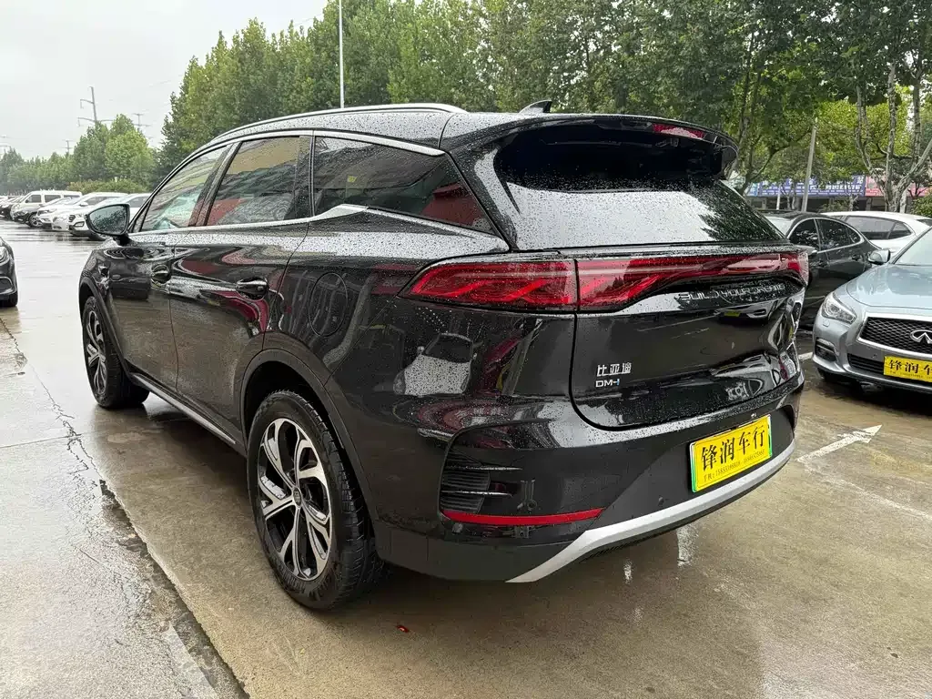 BYD Tang New Energy 2025 из CN, фото 7