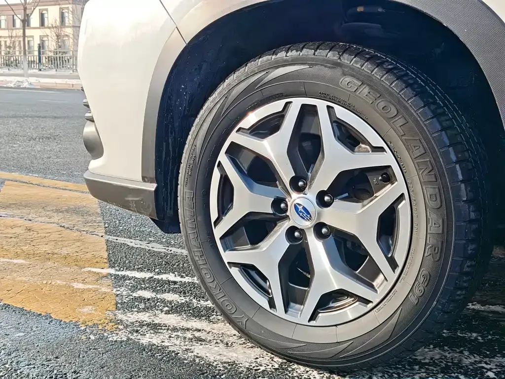 Subaru Forester 2022 из CN, фото 10