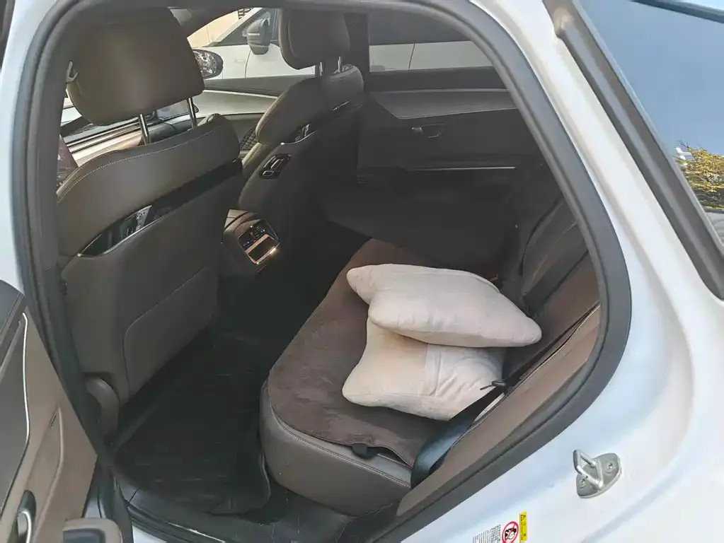BYD Han 2022 из CN, фото 2