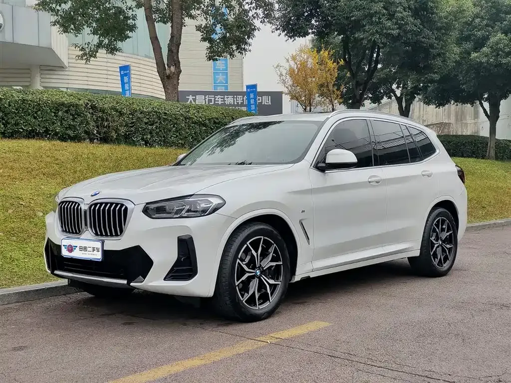 BMW X3 — фото 1
